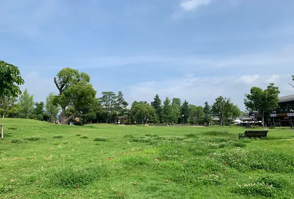 倉敷みらい公園の写真・動画_image_364322