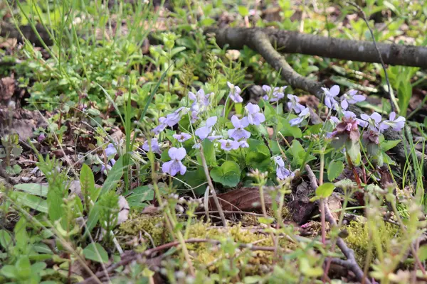 市民の森 学習管理棟「木々」の写真・動画_image_364385