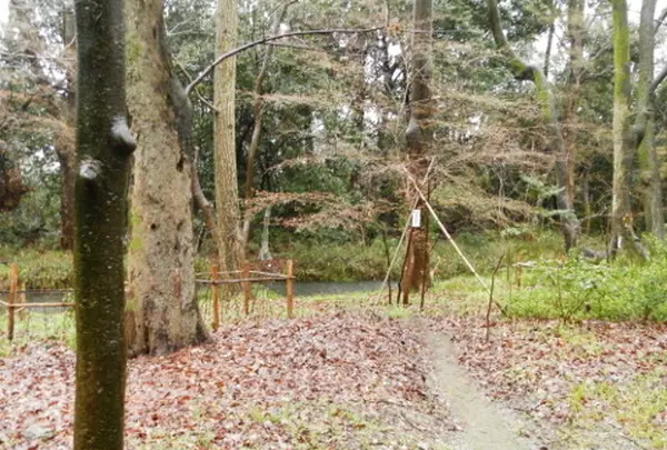 泉川