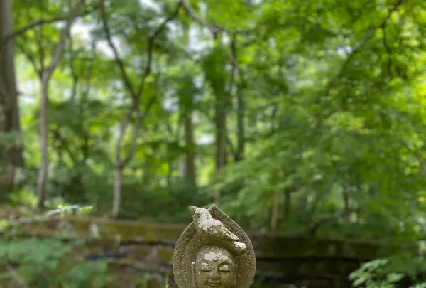 三千院の写真・動画_image_364537