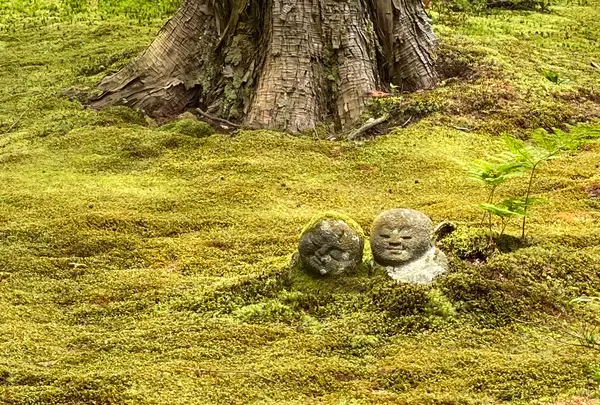 三千院の写真・動画_image_364540