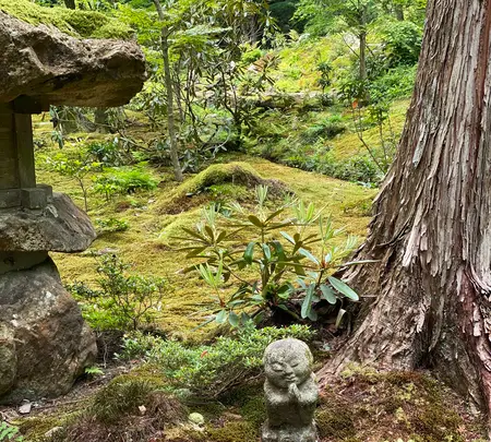 三千院の写真・動画_image_364543