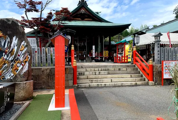 白崎八幡宮の写真・動画_image_364839