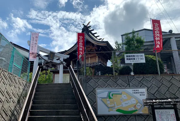 岩国白蛇神社の写真・動画_image_364847