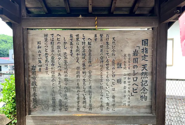 岩国白蛇神社の写真・動画_image_364849