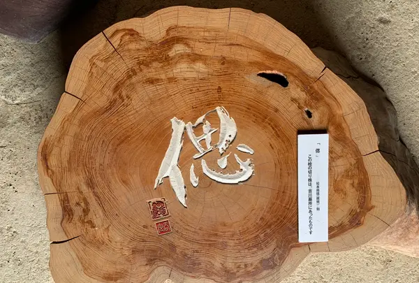 吉川史料館の写真・動画_image_364957