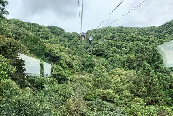 岩国城ロープウエーの写真・動画_image_364987