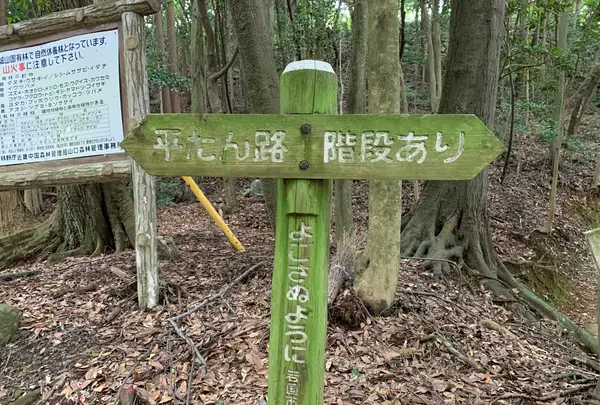 岩国城の写真・動画_image_364998