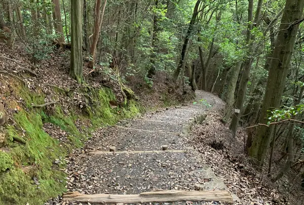 岩国城の写真・動画_image_365000