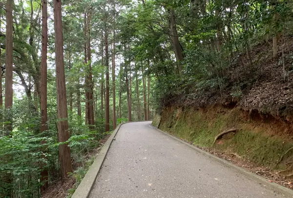 岩国城の写真・動画_image_365001