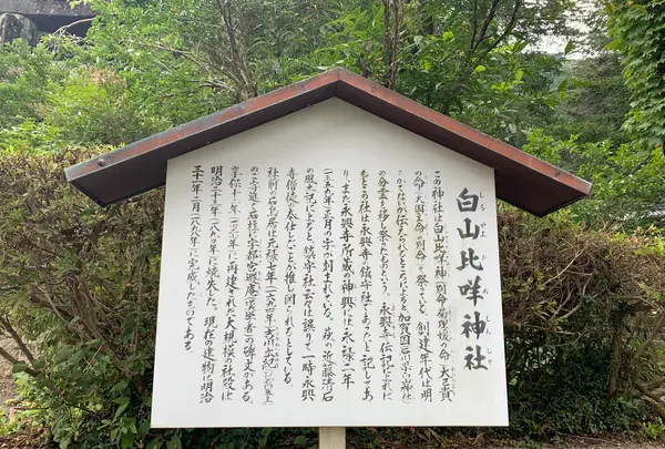 白山比咩（ひめ）神社の写真・動画_image_365031
