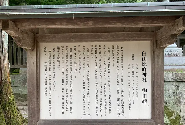 白山比咩（ひめ）神社の写真・動画_image_365033