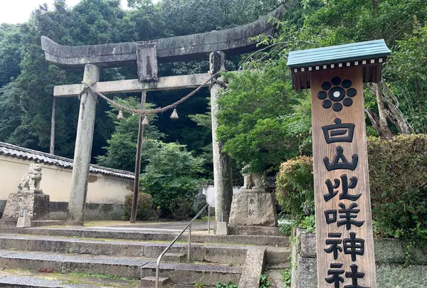 白山比咩（ひめ）神社の写真・動画_image_365034