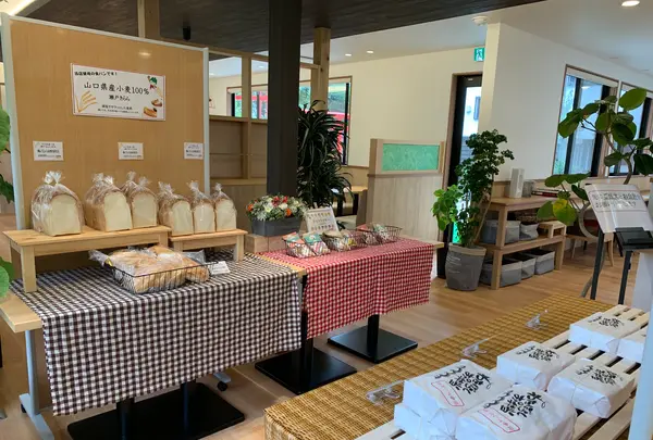 菜食キッチンわたぼうしの写真・動画_image_365039