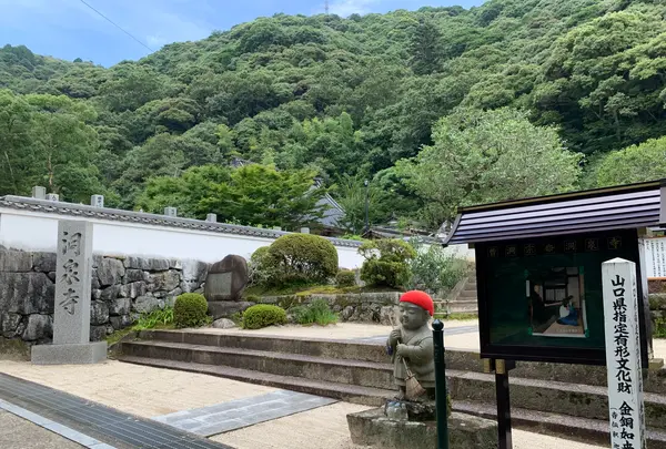 洞泉寺の写真・動画_image_365057