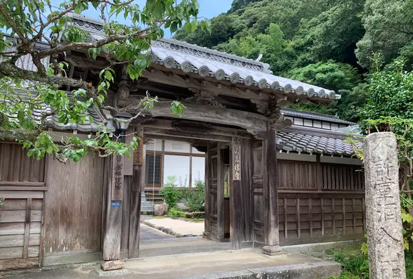 洞泉寺の写真・動画_image_365059