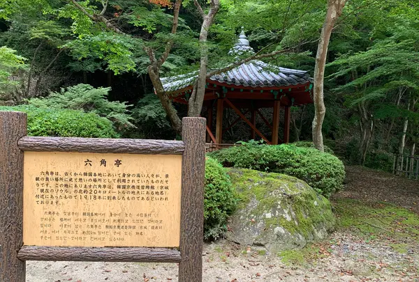 六角亭の写真・動画_image_365061