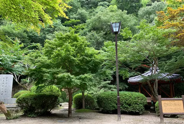 六角亭の写真・動画_image_365062