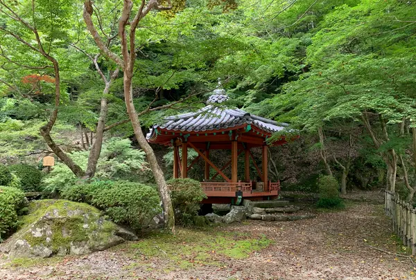 六角亭の写真・動画_image_365064