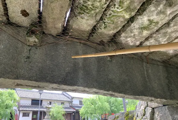 くらしき川舟流しの写真・動画_image_365204