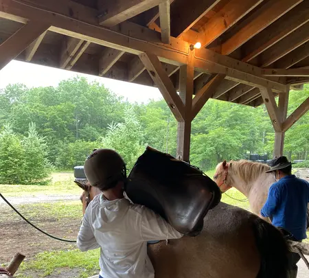 森の馬小屋の写真・動画_image_365308