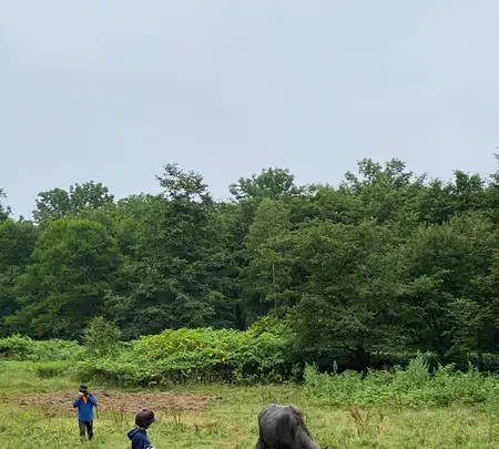 森の馬小屋の写真・動画_image_365309