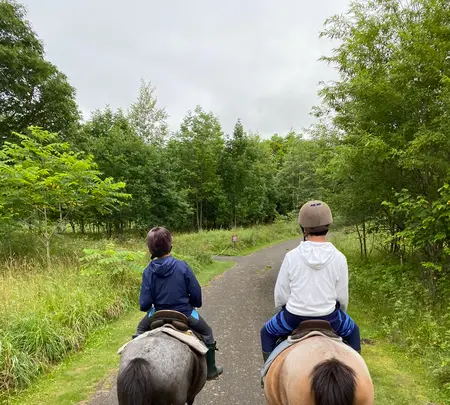 森の馬小屋の写真・動画_image_365310