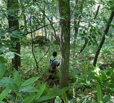 岩内仙峡の写真・動画_image_365319
