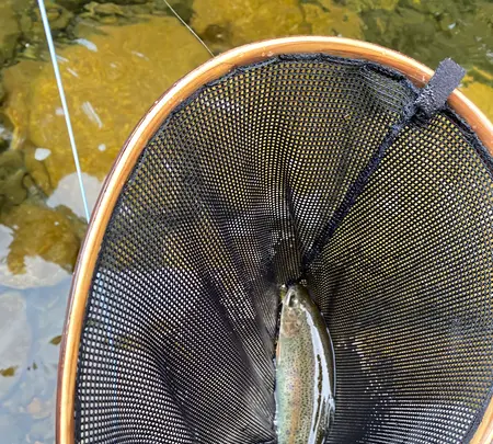 岩内仙峡の写真・動画_image_365320