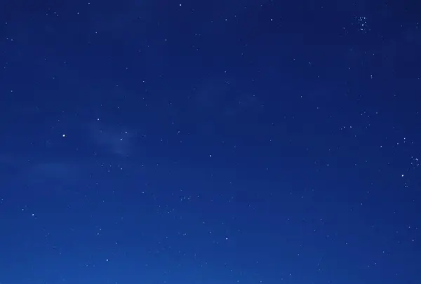 白山吉野オートキャンプ場の写真・動画_image_365323