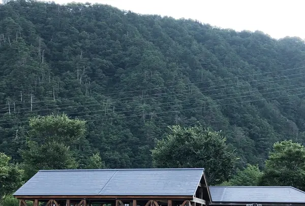 白山吉野オートキャンプ場の写真・動画_image_365326