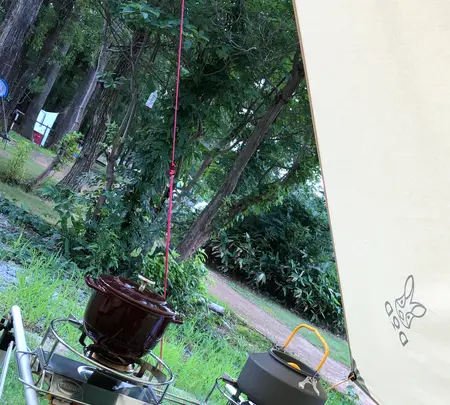 白山吉野オートキャンプ場の写真・動画_image_365335