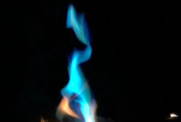 白山吉野オートキャンプ場の写真・動画_image_365341