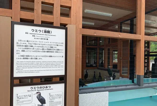 吉香公園の写真・動画_image_365470