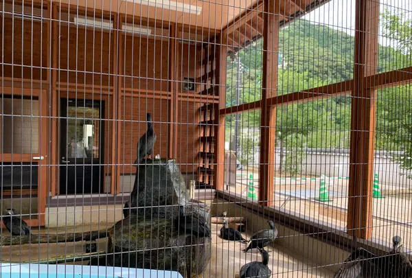 吉香公園の写真・動画_image_365471