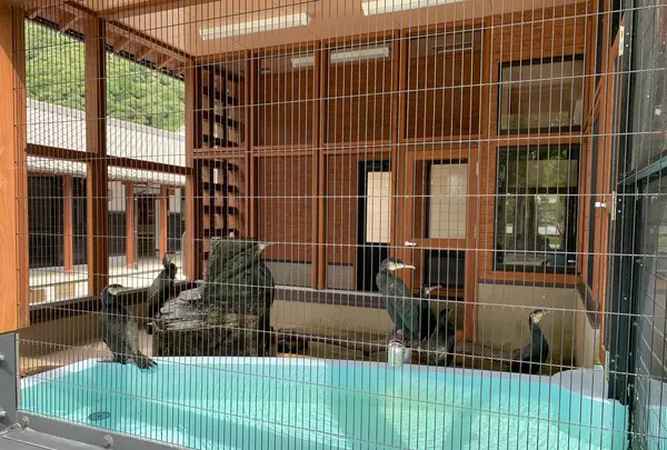 吉香公園の写真・動画_image_365472
