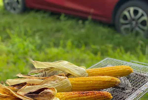 ㈱更別企業の写真・動画_image_365538