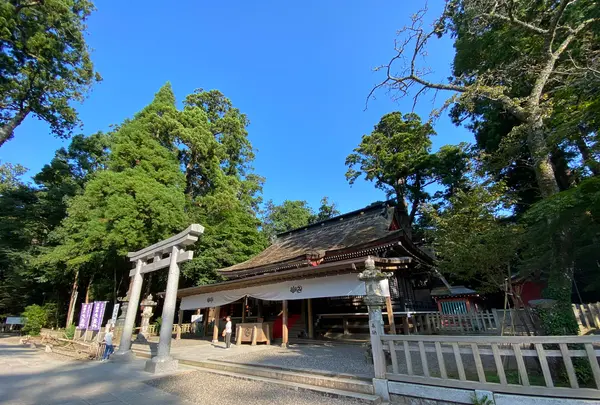 鹿島神宮の写真・動画_image_365604