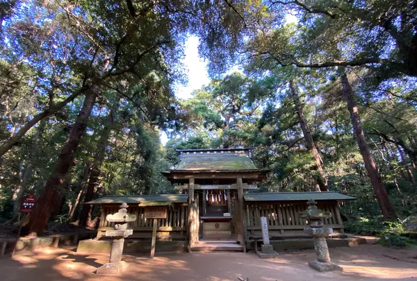 鹿島神宮の写真・動画_image_365609