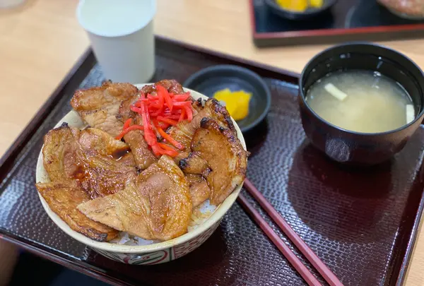 帯広空港（とかち帯広空港）の写真・動画_image_365782