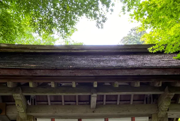 寂光院の写真・動画_image_365808