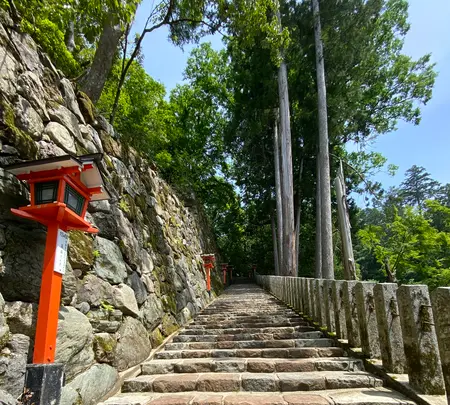 鞍馬寺 本堂の写真・動画_image_365987