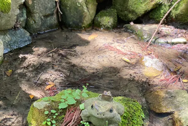 奥の院魔王殿の写真・動画_image_365989