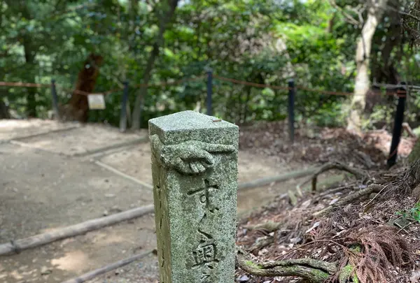 奥の院魔王殿の写真・動画_image_365990