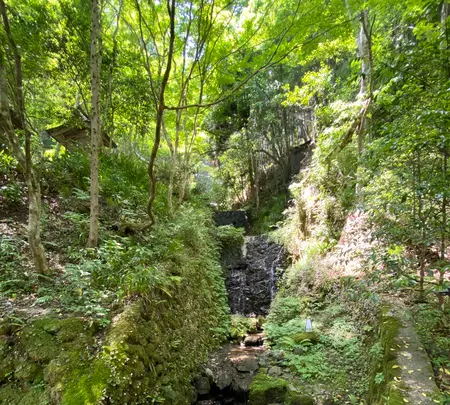 貴船神社の写真・動画_image_366003