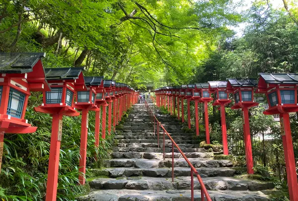 貴船神社の写真・動画_image_366006