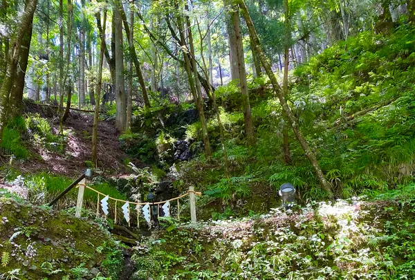 貴船神社の写真・動画_image_366007
