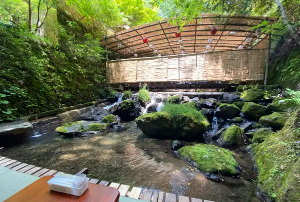 かつらの写真・動画_image_366013