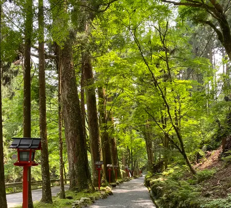 貴船神社 奥宮の写真・動画_image_366019