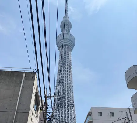 東京スカイツリーの写真・動画_image_366084